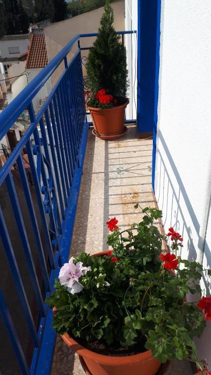 Villa Maria Vilches 외부 사진