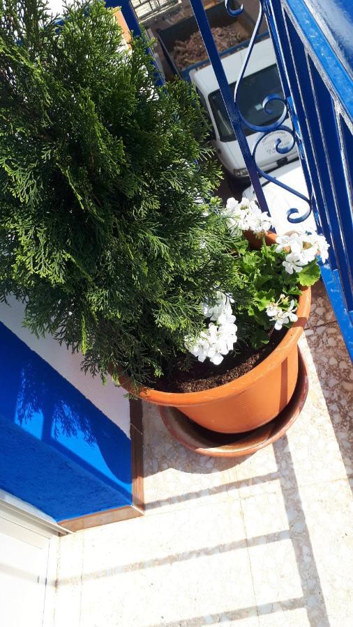 Villa Maria Vilches 외부 사진